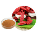 Nutrition organique goji berry lyophilisé poudre